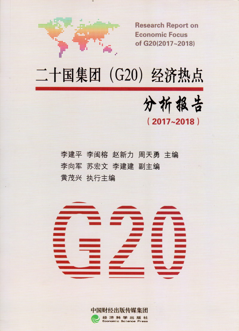 黑人和日本人考比片二十国集团（G20）经济热点分析报告（2017-2018）