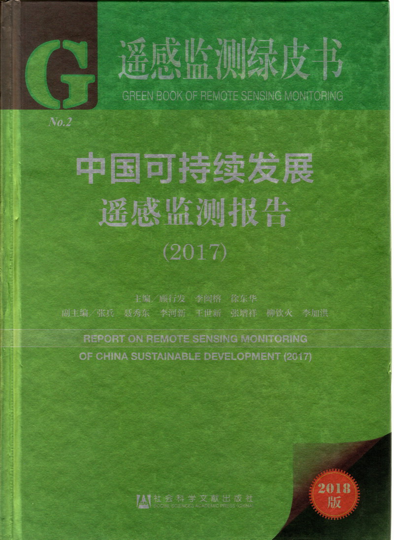 进去插啊视频在线观看中国可持续发展遥感检测报告（2017）